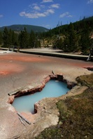 Yellowstone National Park Wyoming USA 72